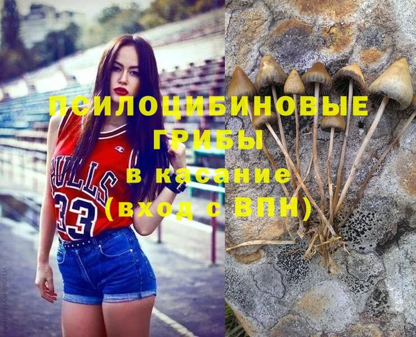 jwh Аркадак