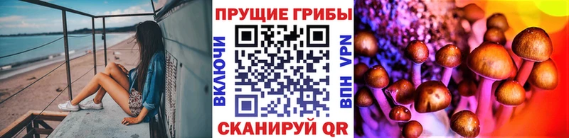 mega ONION  продажа наркотиков  Тайга  Галлюциногенные грибы Psilocybe 